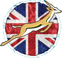 Springbok English Academy